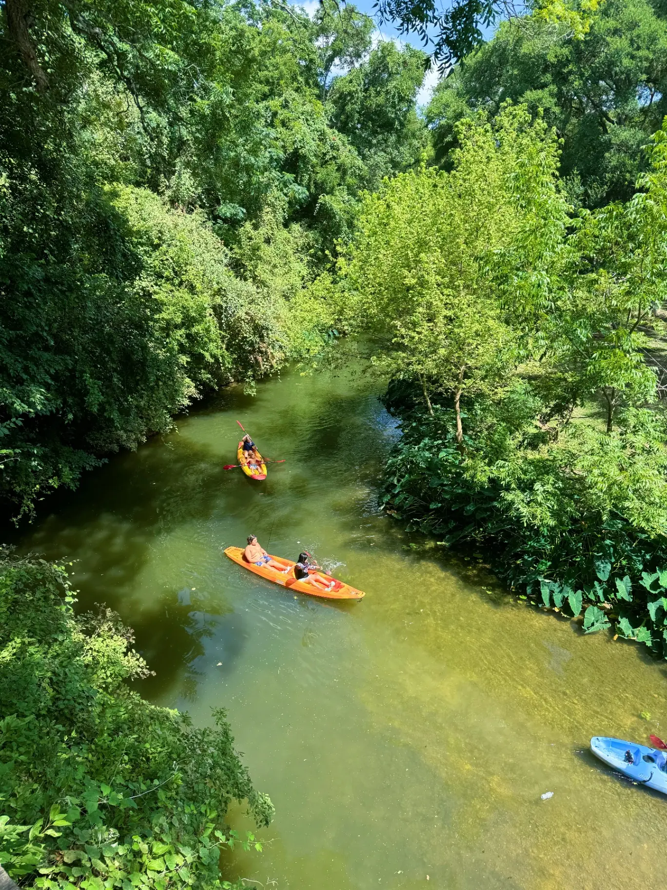 Perspective changes everything