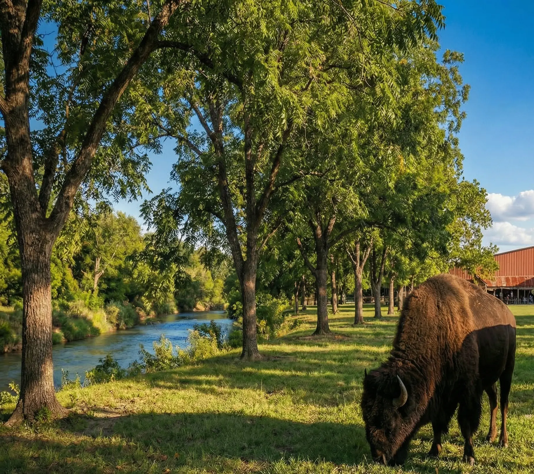 Cibolo Creek