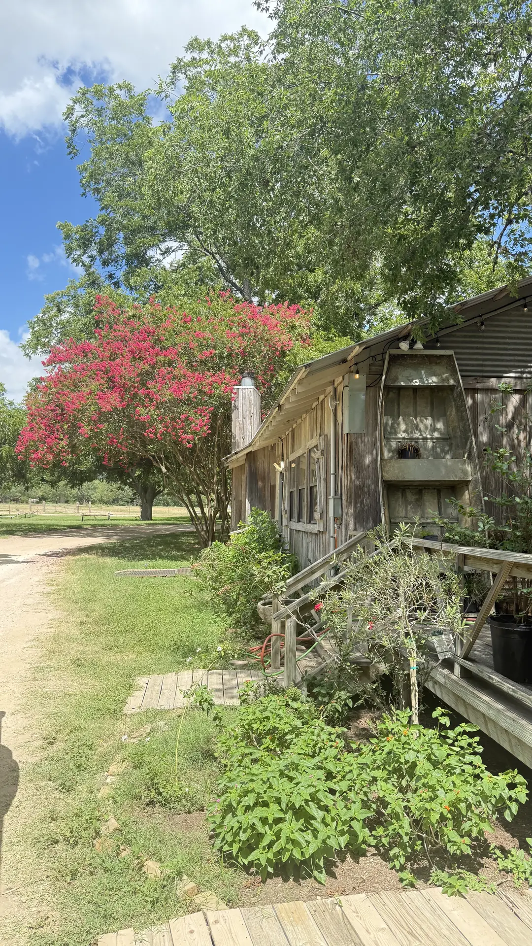 Lily House barn side view