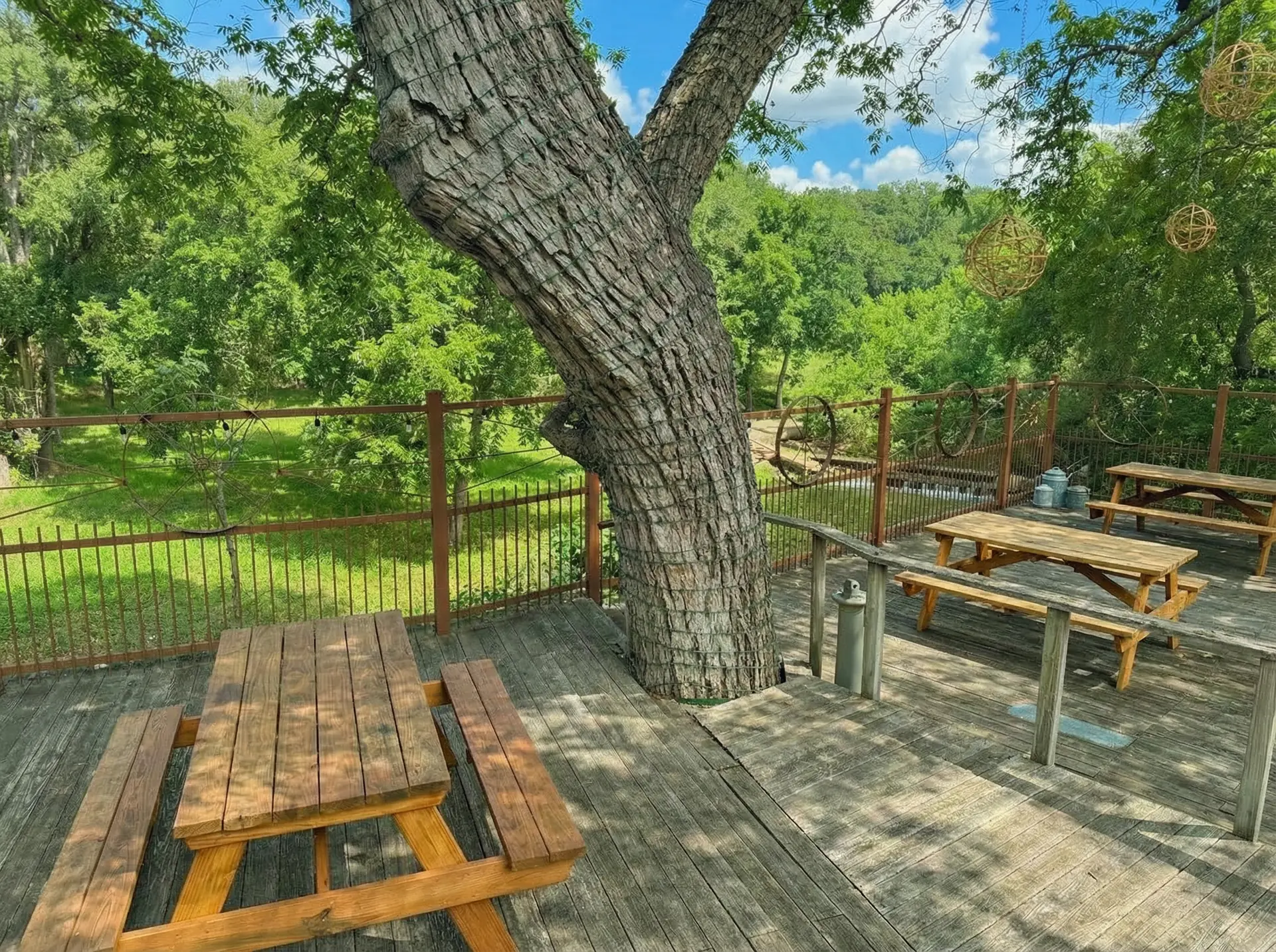 The Lily House photo 5