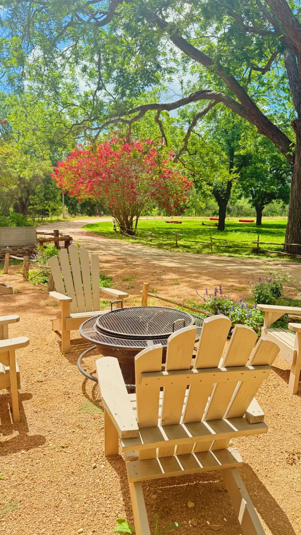 The Lily House photo 10